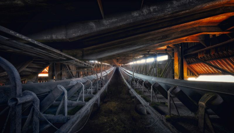 Egg Farm Convicted After Worker Caught In Running Conveyor Machinery